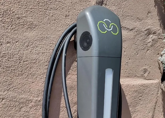 Bundspecht Wehlenberg